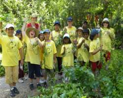 It is the best place to educate children about pla It is the best place to educate children about plants. Many school visits, summer break camps, and family programs are organized in the park so that t